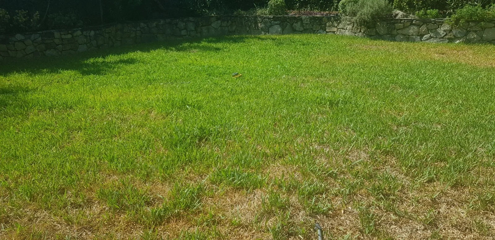 Jardín residencial real con césped verde uniforme y borde de piedra