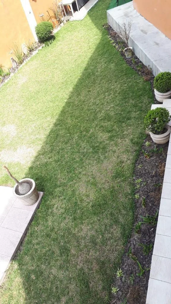 Franja de cultivo casero junto al muro, con macetas en producción