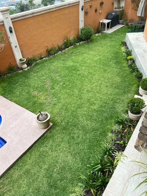 Patio con macetas y plantas alrededor de un césped sano