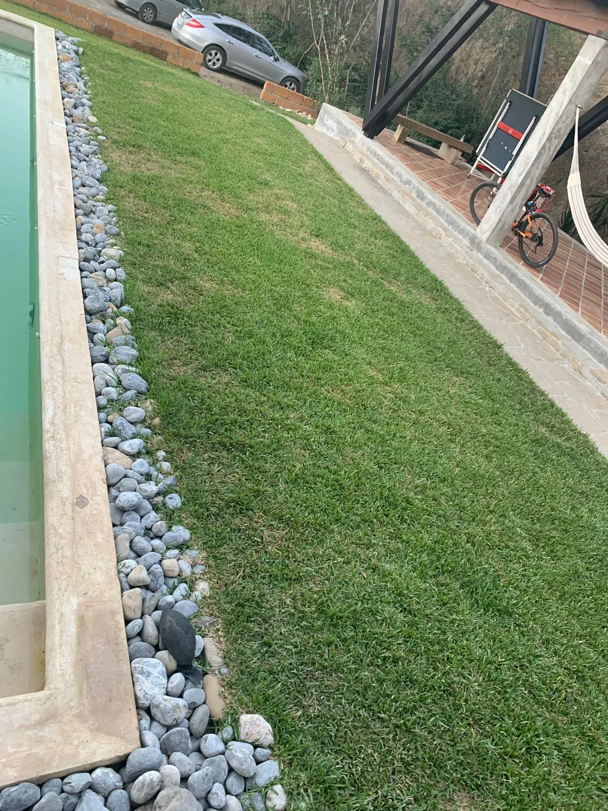 Césped denso y uniforme sobre suelo vivo — jardín real atendido con BioAgro
